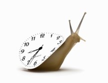 reloj-lento-de-caracol-1