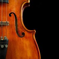 Violín