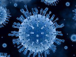 Coronavirus